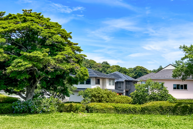 庭木の伐採も対応